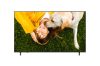 LG 65UA751C0LA TV 65" 165 cm 4K UltraHD Smart LED TV